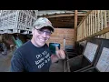 Download Lagu HOW MUCH FOOD IS NEEDED FOR 23 HORSES?