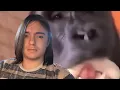 Is LiveLeak SAFER than Reddit