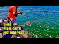 Dam Fishing A Fish NOBODY wants to CATCH