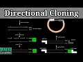 Directional Cloning Directional Cloning Vs Traditional Cloning