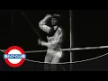 Download Lagu Sandy Sarjeant - Can't stop the want (1967)