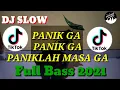 Download Lagu Dj Panik Gak Paniklah masa gak Full Bass Mantap