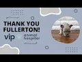 VIP Animal Hospital Thank You Fullerton