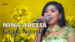 nina adelia kodok ngorek official music video 