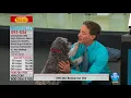 HSN Andrew Lessman Live From ProCaps Laboratories 12 03 2017 - 10 PM