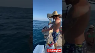 Grilling Snapper while flying the Spinnaker #bestlife