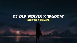 Download DJ OLD WOLVES X TAGODAY || REMIX TIK TOK VIRAL SLOWED MP3