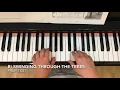 Download Lagu ABRSM PREP TEST - B) Swinging Through The Trees