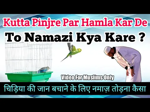 Parinde Ki Jan Bachane Ke Liye Namaz Todna | Kitni Qeemat Ke Nuqsan Par Namaz Tor Sakte Hain