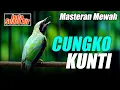 Lagu MASTERAN CUNGKO TEMBAKAN SUARA KUNTI | BERJEDA SUARA AIR