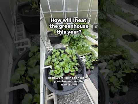 How will I heat my greenhouse this year?