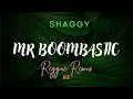SHAGGY - Mr Boombastic Reggae Remix by H2