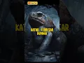 Download Lagu TOP 4 KATAK TERBESAR DIDUNIA | #kamutau #faktamenarik #katak #shorts