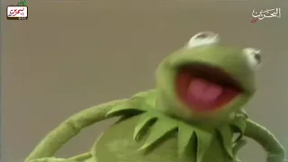 الضفدع كامل وكعكي 