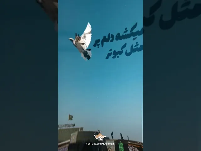 ⁣نگاه به چشم ترم کن| حاج محمود کریمی