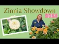 Floret vs Johnny s Seeds Zinnias Year 3 Comparison in My Zone 6 Garden