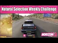 Forza Horizon 5 Natural Selection Weekly Challenge - Hard Charger Skill Mountain Pass Speed Zone
