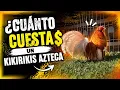How much do Aztec Kikirikis cost