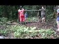 Animals in Mirrors Hilarious Reactions