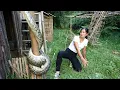 Catch big python to eat my chickens on the farm Creating primitive traps with good results