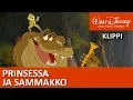 Download Lagu Prinsessa ja sammakko |  Louis soittaa jazzia – Disney Prinsessat