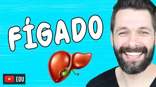FÍGADO - Anatomia e Funções - Sistema digestório, endócrino etc. | Biologia com Samuel Cunha