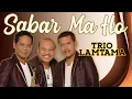Download Lagu Trio Lamtama - Sabar Maho