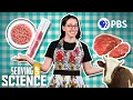 What Does the Future of Lab Grown Meat Look Like Serving Up Science