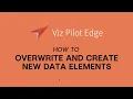 Viz Minute Overwriting and Saving new data elements