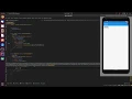 RaisedButton