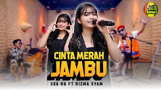 cinta merah jambu ska 86 feat rizma syam kentrung bajidor uye tone music video 
