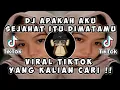 Download Lagu DJ APAKAH AKU SEJAHAT ITU DIMATAMU VIRAL TIK TOK TERBARU 2023 YANG KALIAN CARI
