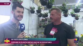 Mercado de plantas da 85ª Festa das Flores reúne mais de 50 expositores