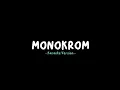 TULUS - MONOKROM (Karaoke Version)