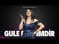 Download Lagu Tülay Maciran ✨️ Gule Dersimdir