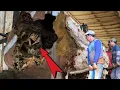 Lagu 271 Detik Sebelum Bencana || Batang Kayu Patah Ini Hampir Menghancurkan Tempat Penggergajian Kayu