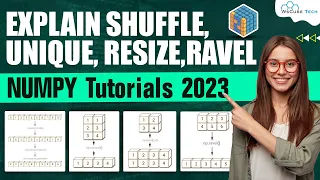 Explain Numpy Functions - Shuffle Unique Resize and Ravel