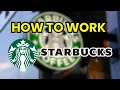 How to Get a Job at Starbucks Requirements Roles How to Apply Step by Step