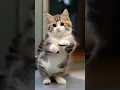 Download Lagu Kucing Lucu Goyang Daboy #daboy