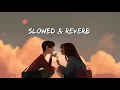 Download Lagu Slowed + Reverb | Lofi | Rabba Mai To Mar Gaya | Lyrics Only