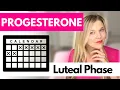 Luteal Phase Deficiency Understanding Progesterone and Ovulation
