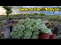 Download Lagu MAGKANO NA ANG KINITA NAMIN SA GULAY?
