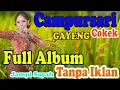 Lagu TANPA IKLAN CAMPURSARI TRANDING TERBARU FULL 1 JAM MERDU PALING DICARI JANGAN SAMPAI KETINGGALAN