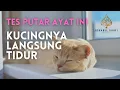 Download Lagu Ayat Alquran Di Baca! Kucingpun Langsung Tertidur Pulas