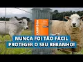 Vídeo do produto - Tela Campeira Ovinos - Malha 30x10cm - Fios de aço 2,50mm - 650kgf - 50m