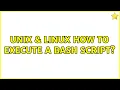 Unix Linux How to execute a bash script 3 Solutions