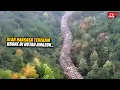 Download Lagu Viral Pilot Drone Rekam Ular Raksasa Sepanjang 60 Meter Muncul di Lembah Amazon, Hebohkan Dunia...