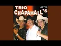 Download Lagu Nóis É Jeca Mais É Jóia (Ao Vivo)