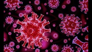 dawa ya coronavirus by mukasa brothers