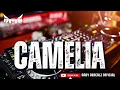 Download Lagu FUNKOT - CAMELIA II COVER BY ANDY AENCALZ OFFICIAL